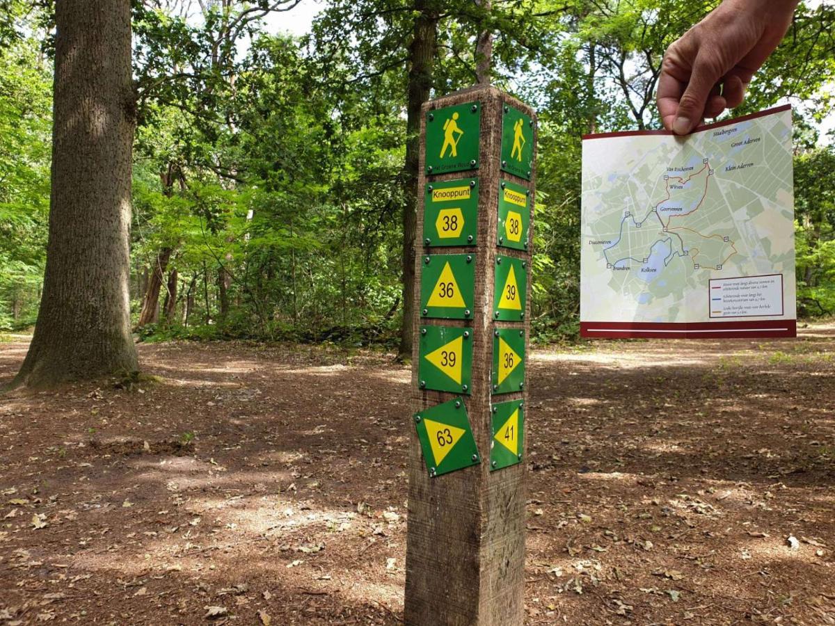 Vakantiehuis Appelvink, Toplocatie In Bosrijke Omgeving Oisterwijk Dış mekan fotoğraf