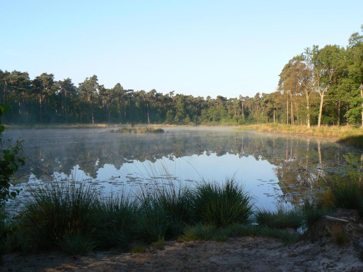 Vakantiehuis Appelvink, Toplocatie In Bosrijke Omgeving Oisterwijk Dış mekan fotoğraf