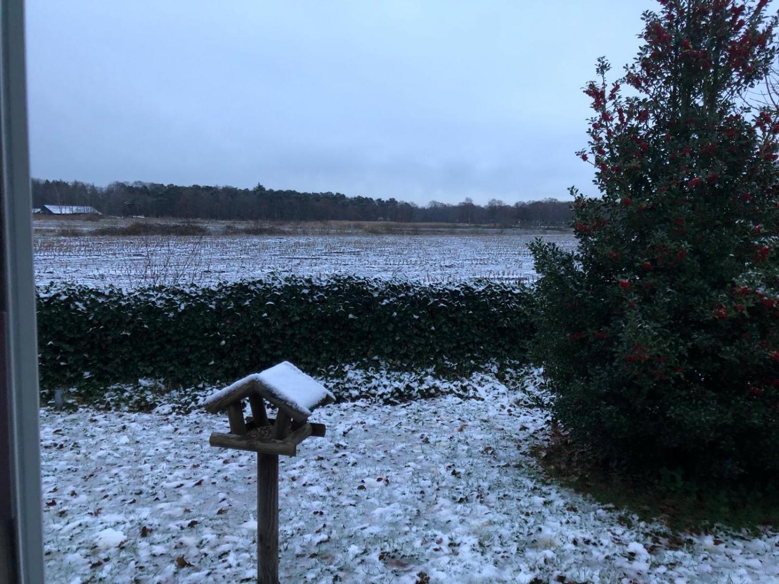 Vakantiehuis Appelvink, Toplocatie In Bosrijke Omgeving Oisterwijk Dış mekan fotoğraf